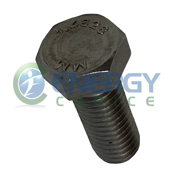 Hexagonal Head Screw, Jenbacher, 357731